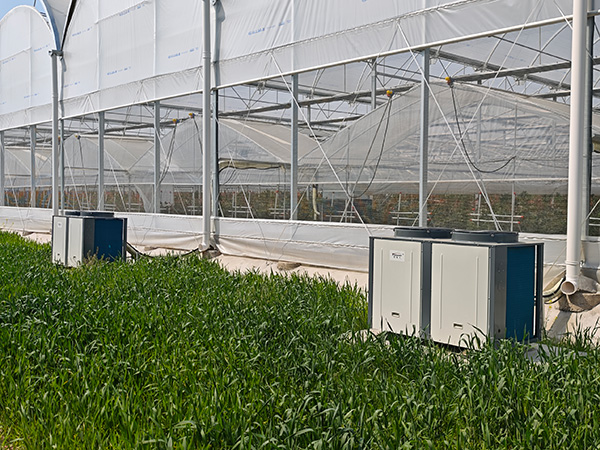 温室种植大棚工程