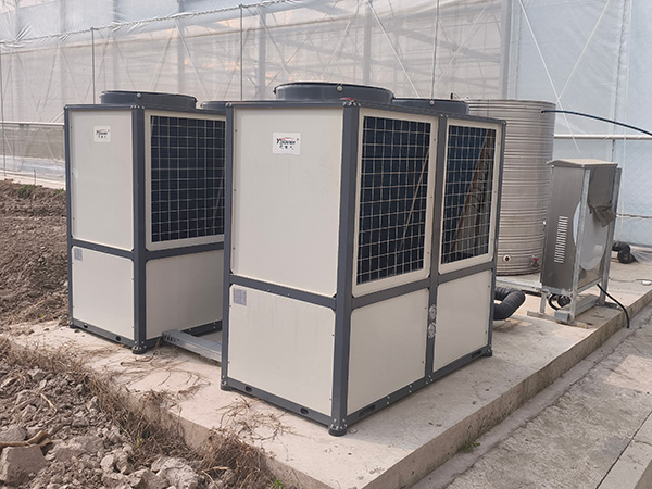 菌菇种植大棚工程