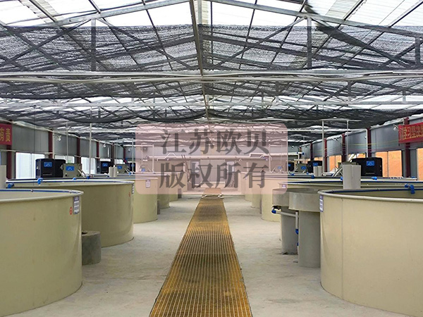 10-31-1.jpg 10-31-1.jpg